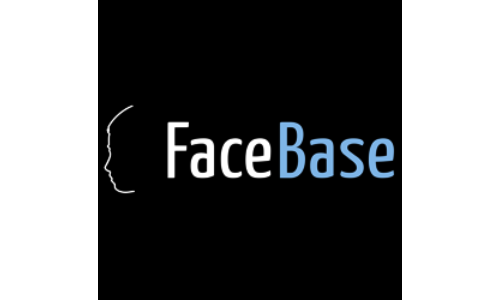 FaceBase Logo