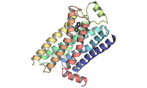 DNA Folding