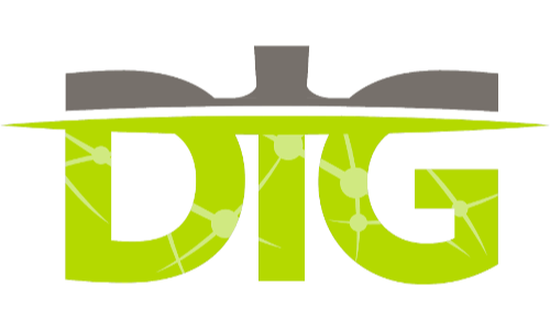 DIG