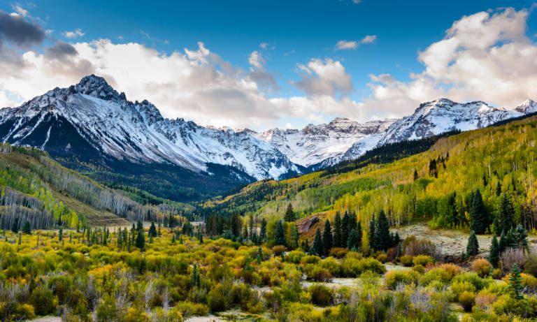 Mountains and forest landscape